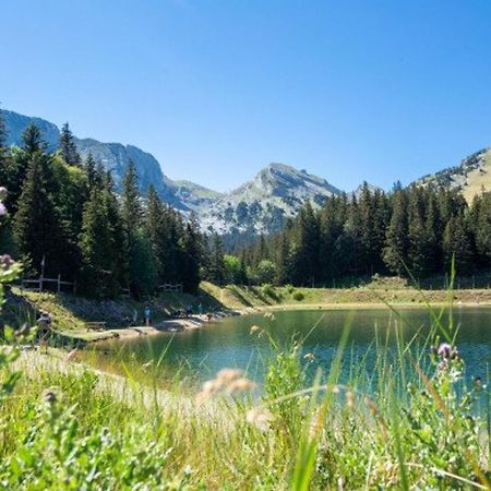 Charmant Appartement Fonctionnel Pres Du Centre Bourg, Balcon Et Parking Gratuit - Fr-1-548-2 Виллар-де-Ланс Экстерьер фото